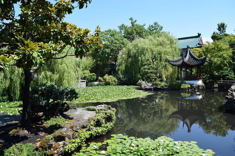 Zen Oasis