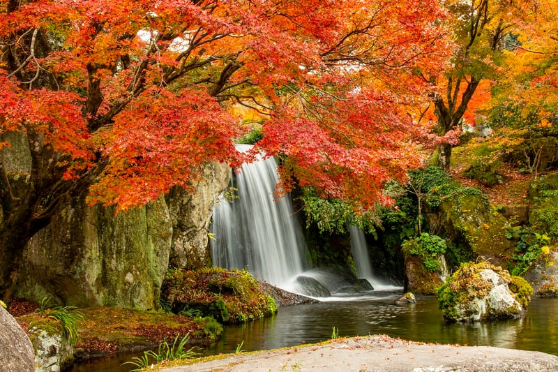 Stream